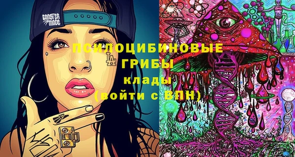эйфоретик Краснослободск