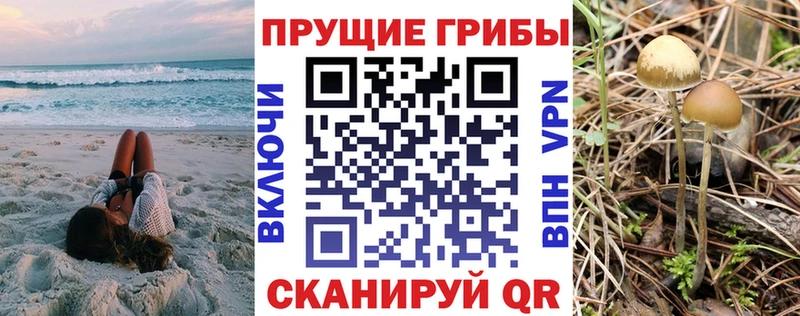 Купить закладки  Осинники  Галлюциногенные грибы мицелий 